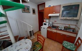 Rosmarinus Rubic Studio